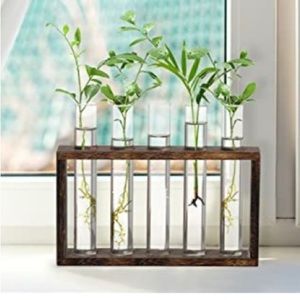 Glass Planter Tubes in Wood Rack, vase set